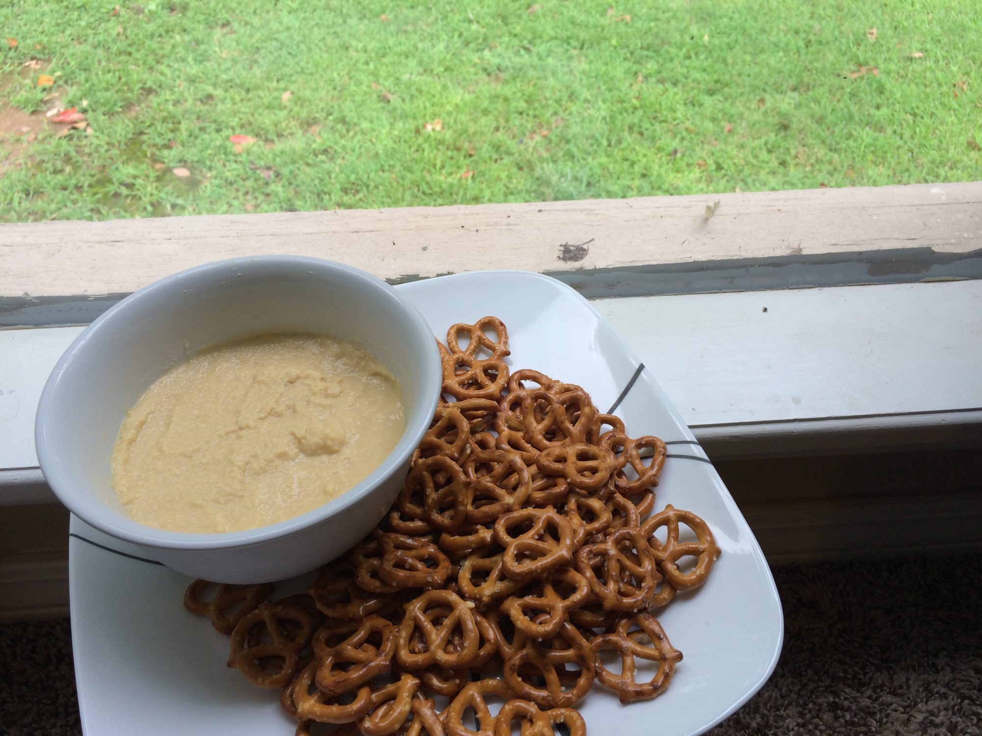 Hummus Recipe The Dillard Family