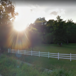 A Life Well Lived: Lessons My Grandma Taught Me