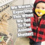 We Weren’t Expecting This When We Got To The Animal Shelter!!
